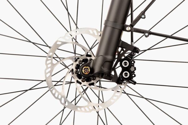 Vae cargo rallongé Riese and Muller Multicharger mixte GT