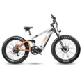 Vtt électrique Cyrusher Ranger