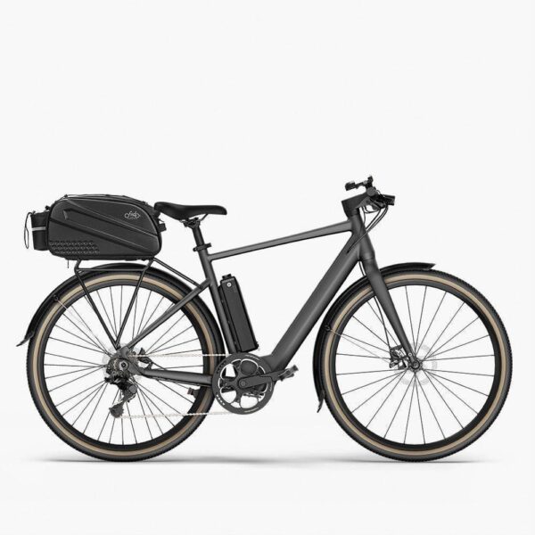 Fiido C21 - Gravel Vélo électrique Léger