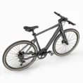 Fiido C21 - Gravel Vélo électrique Léger