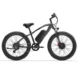 Vélos électriques à double moteur