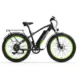 Fat Bike Électrique LankeLeisi XC4000