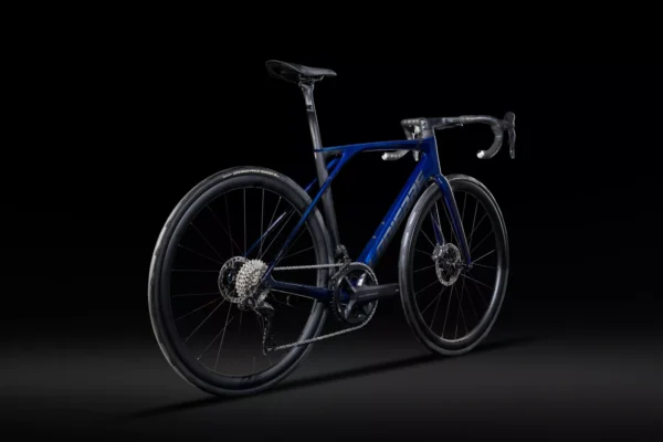 Xelius SL 8.0 2024