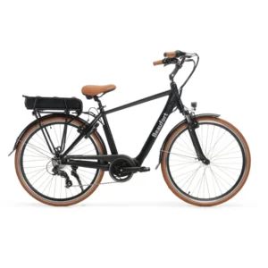 Vélo électrique ville Beaufort Birgit
