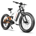 Cyrusher Ranger vélo électrique tout-terrain blanc