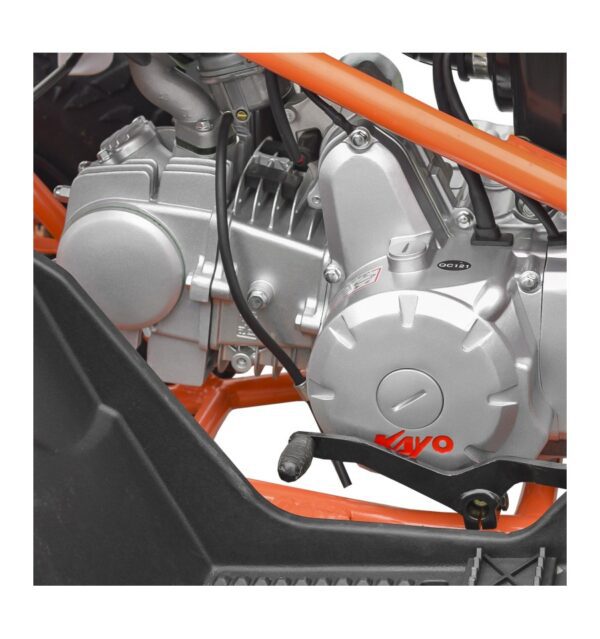 Quad 125cc enfant Predator 8 pouces KAYO