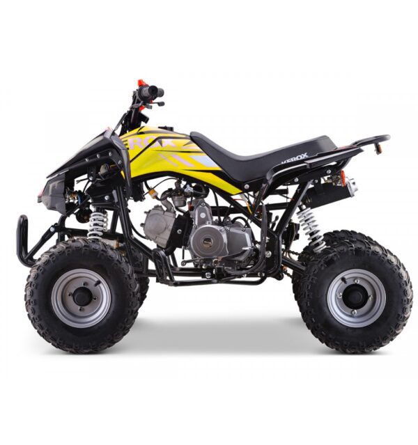 Quad 125cc enfant KEROX Speedbird
