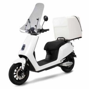 Scooter électrique LVNENG S5 Delivery