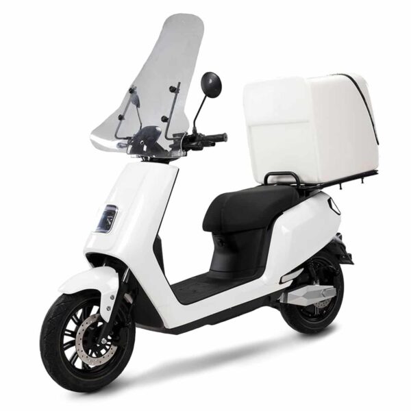 Scooter électrique LVNENG S5 Delivery