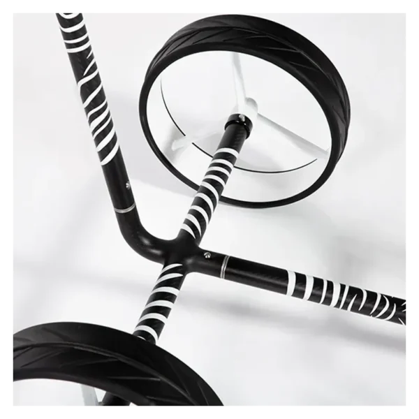 chariot-carbon-zebra-3-roues (2)