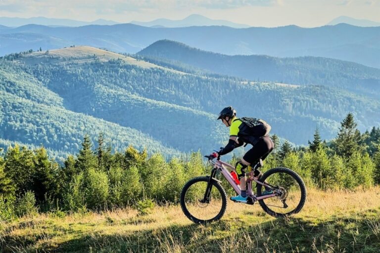Guide complet VTT électrique : comparatif et conseils 2025